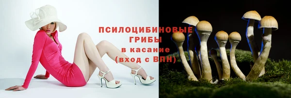 первитин Белокуриха