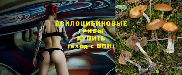 первитин Белокуриха