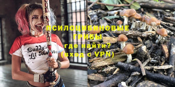 первитин Белокуриха