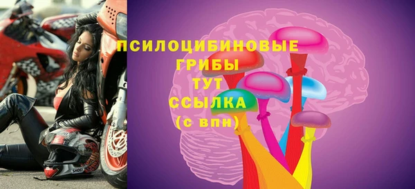 спайс Беломорск