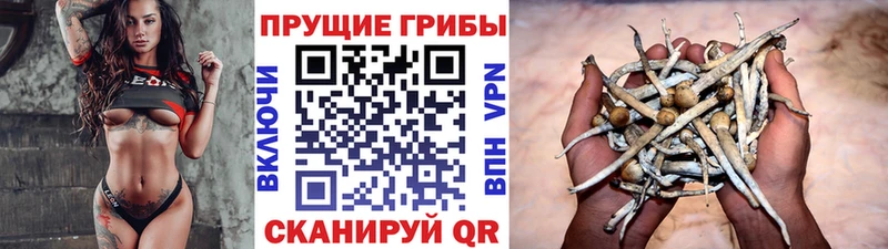 хочу   Еманжелинск  мориарти наркотические препараты  Псилоцибиновые грибы GOLDEN TEACHER 